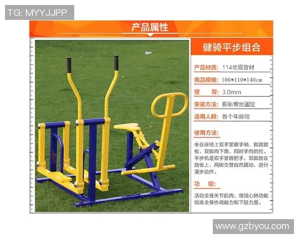 沧州健身器材行业发展现状与未来趋势分析及市场潜力探讨
